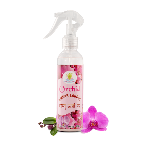 Orchid Spray - Image 2