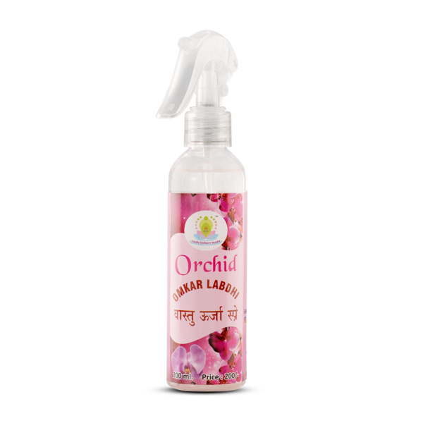 Orchid Spray - Image 3